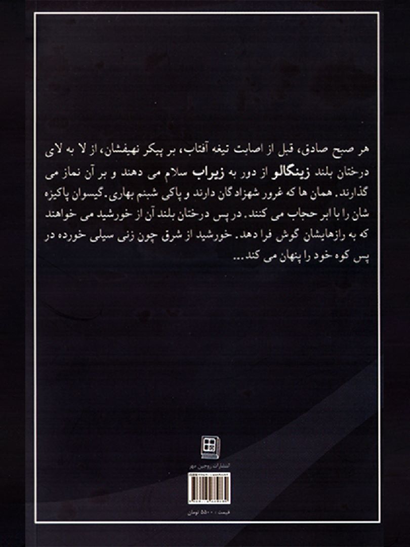 نشر آوا گستر پویا - چون شاهزاده مغرور, Like the proud princess, 978-600-5884-86-9, نویسنده:سیدسلمان رضوی, Seyed Salman Razavi